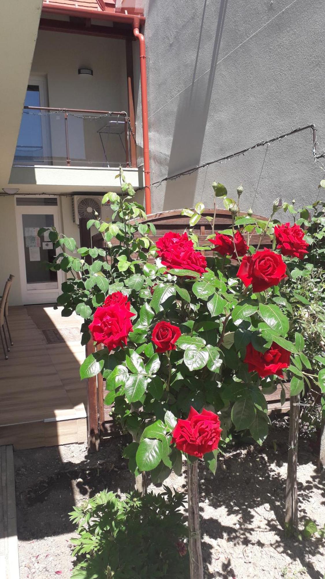 Orchidea II Hotel Heviz Exterior photo